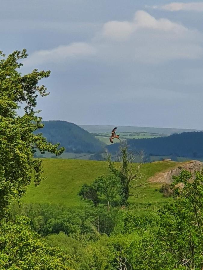 Hotel Calon Y Goedwig Glamping Llandovery Exterior foto