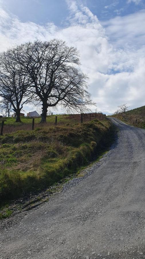 Hotel Calon Y Goedwig Glamping Llandovery Exterior foto